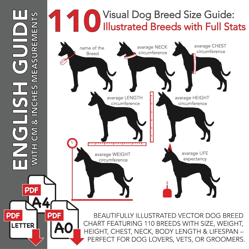 Illustrated Dog Breed Size Guide: 110 Breeds Chart (A0, A4, Letter PDF ...