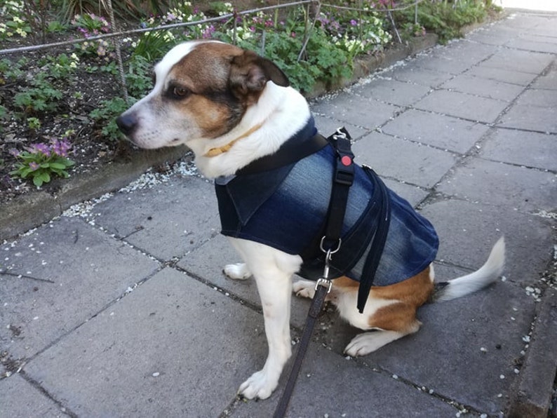 Medium Dog Shirt Sewing Pattern PDF Dog Clothes Pattern Dog Etsy