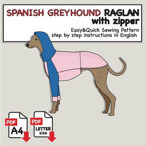 Puede incluir: Un patrón de costura para un raglán de galgo español con cremallera, con capucha y mangas azules y cuerpo rosa. El texto dice: SPANISH GREYHOUND RAGLAN with zipper, Easy&Quick Sewing Pattern, step by step instructions in English, PDF A4, PDF LETTER size.