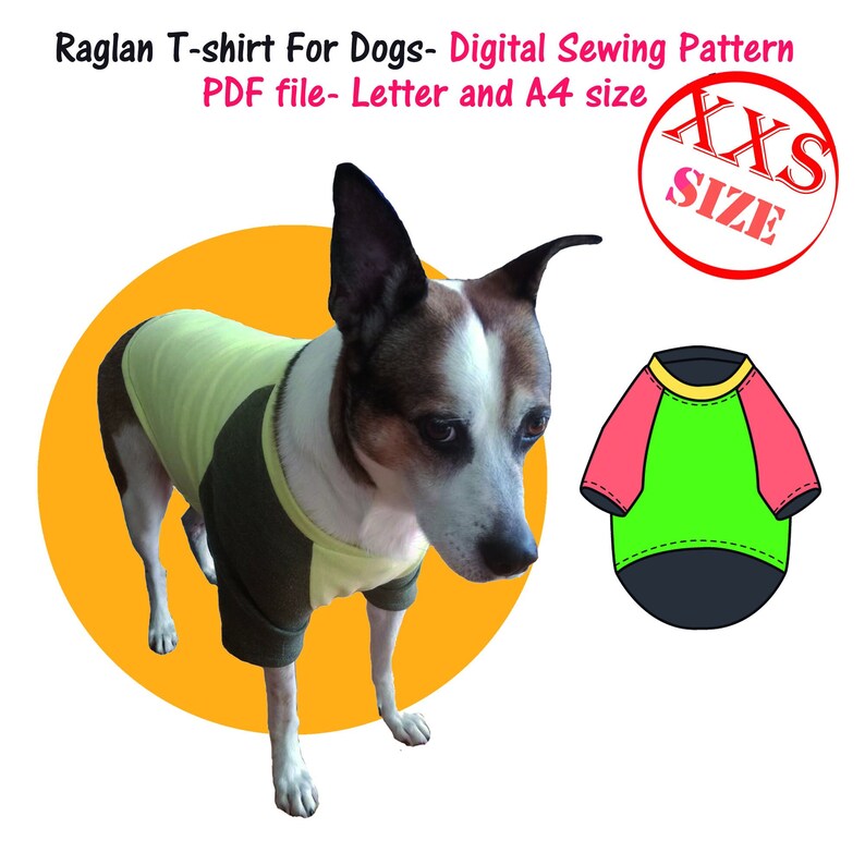 Miniature Dog Raglan Tshirt Sewing Pattern Pdf Small Dog Etsy