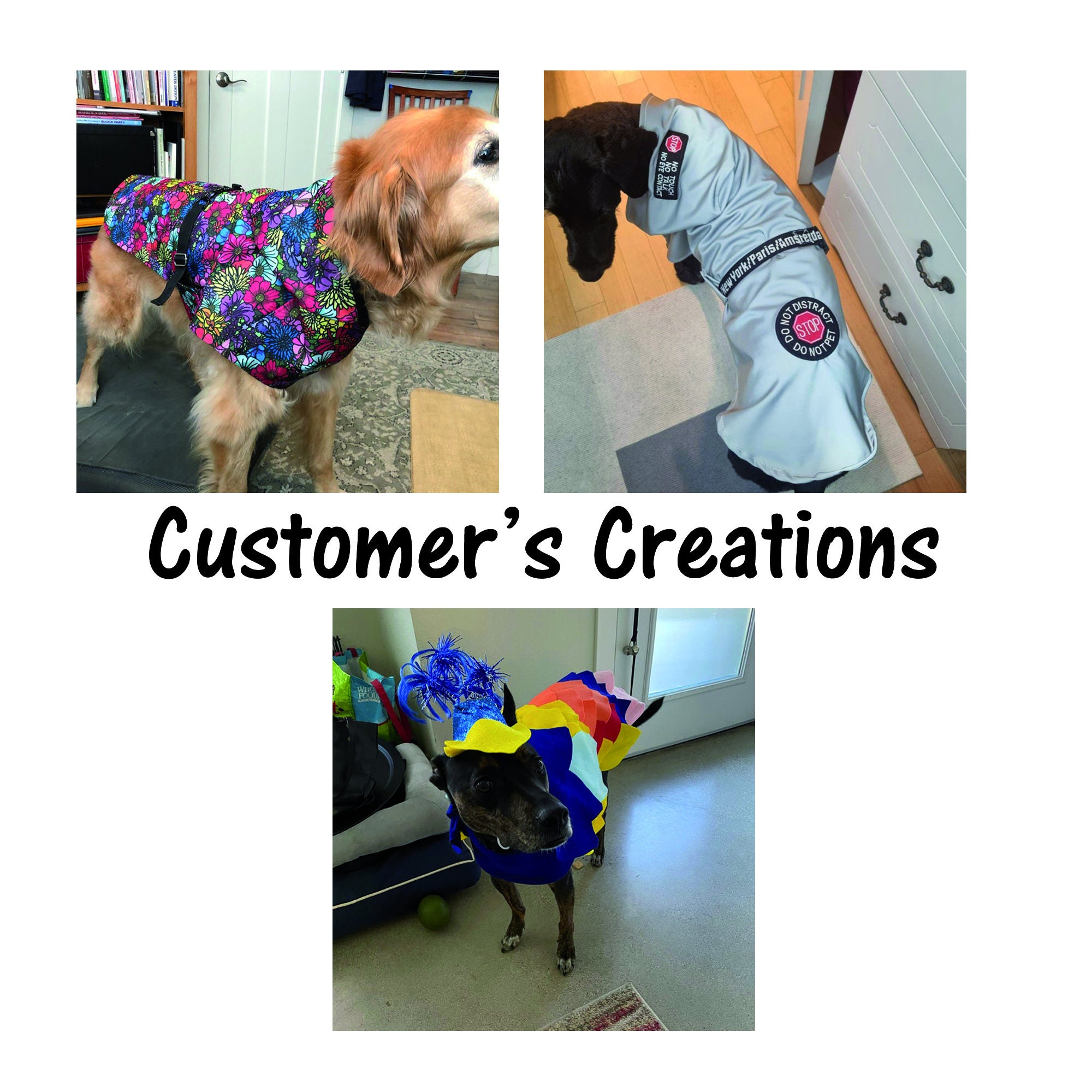 Large Dog Raincoat Sewing Pattern Digital File Large Dog Etsy