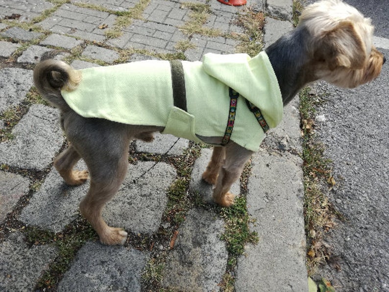 Extra Small Dog Raincoat Sewing Pattern Digital File Dog Etsy