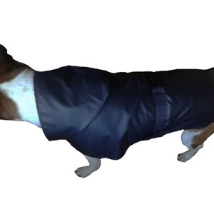 Medium Dog Raincoat Sewing Pattern, Digital File, Dog Coat Pattern, Dog ...