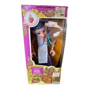 Vintage Kenner Strawberry Shortcake Purple Pieman Doll W/Berry Bird Pet 1981 Open Box