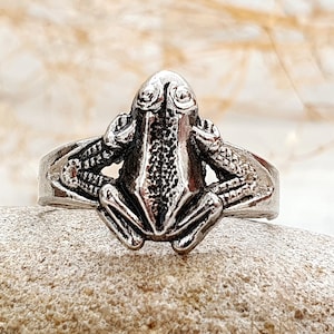 Könnte beinhalten: Ein silberner Ring mit einem Frosch-Design. Der Frosch sitzt mit gekreuzten Beinen und geschlossenen Augen.