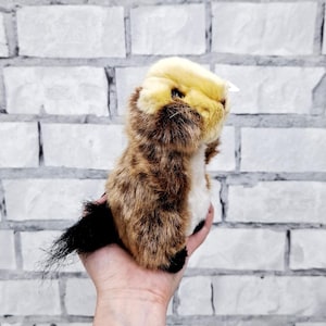 Stuffed beaver Plush toys Vintage beaver toys 6.5&quot; collectible toy plush animals toys Children&#39;s Toy Stuffed Toy baby kids Toy  Animal Toy