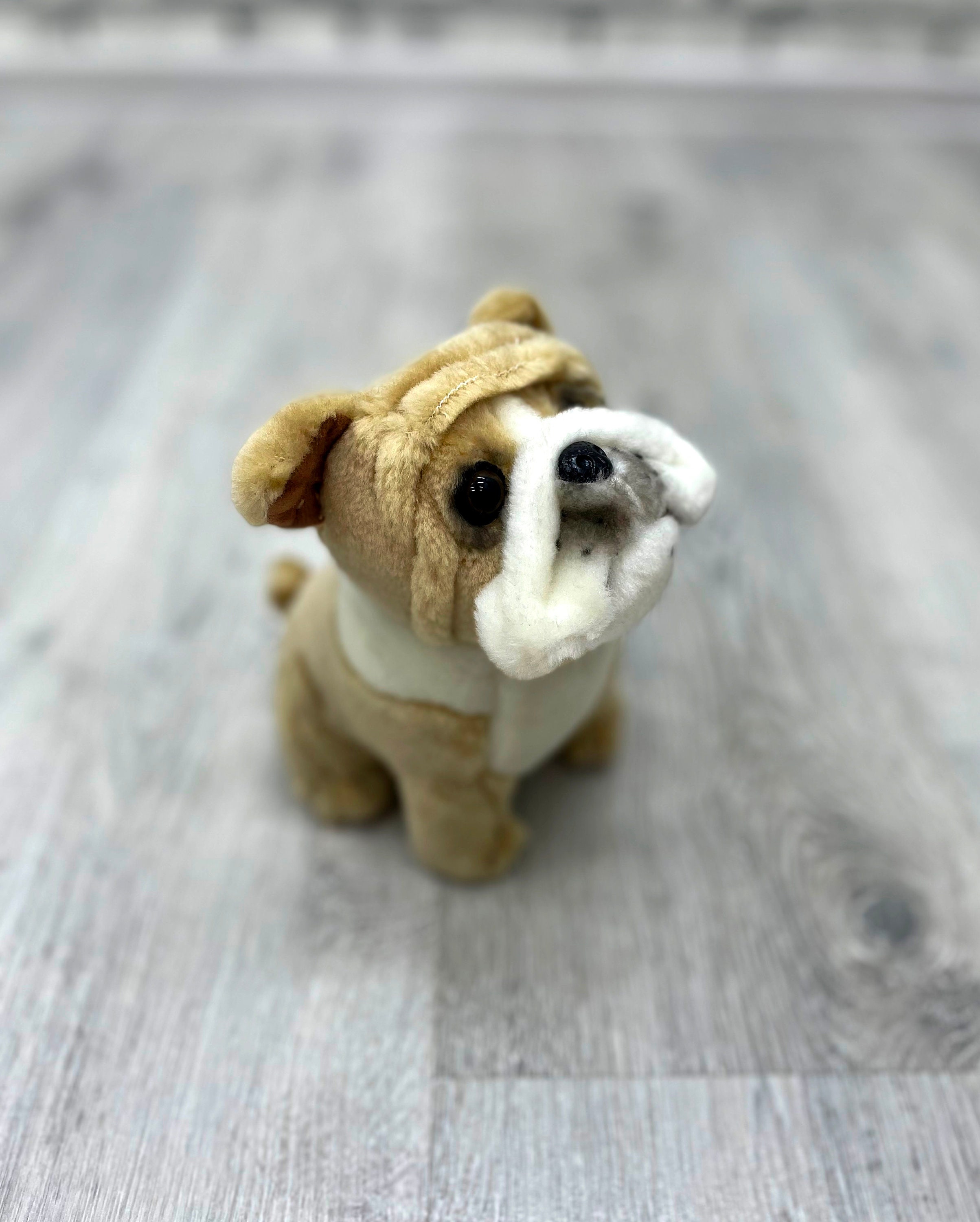 Steiff bulldog - Etsy 日本