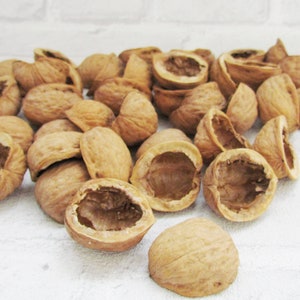 natural walnut shell Walnut halves Natural Christmas ornament light walnut Christmas Decor Crafts Supplies Wedding Ornament Walnut Slices