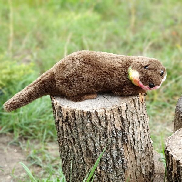 Otter Plush - Etsy