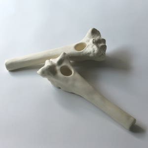 Bone Pipe, Lamb Shank Bone