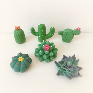 Da 1 a 6 pezzi di decorazioni per torte in pasta di zucchero fatte a mano, cactus, succulente, cactus, decorazioni 3D, piante, cupcake, gomme da masticare, divertimento per le feste
