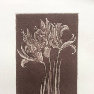 Spring Irises