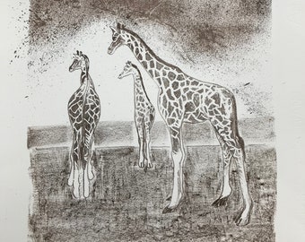 Giraffes  2