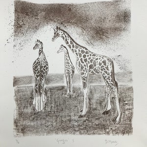Giraffes  2