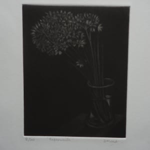 Paperwhite - Mezzotint