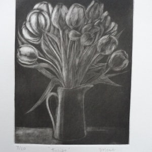 Tulips - Mezzotint
