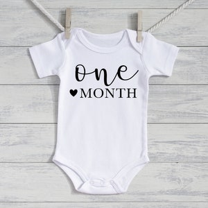Four Month Five Months Six Months Milestone Bodysuit Shirt Carter Baby Newborn Infant Adorable Embroidered Fawn Deer Outfit Pink Brown