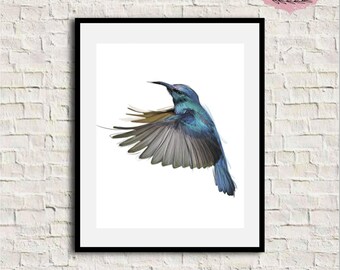 Hummingbird print, Hummingbird art, Hummingbird wall art, Watercolor hummingbird, Bird print, Bird wall decor, Bird print, Printable Artwork