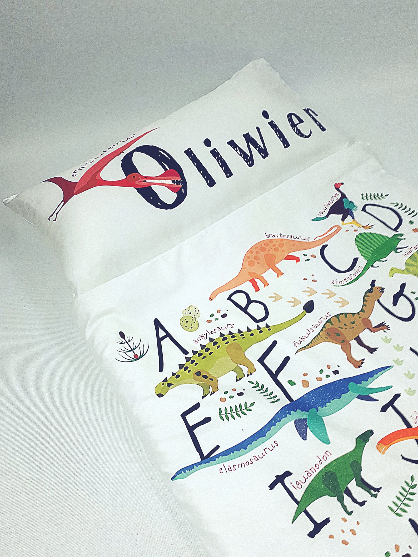 Sleeping Bag Nap Mat Kinder Nap Mat Sleeping Bag for Etsy