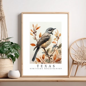 Northern Mockingbird, The State Bird of Texas, Poster Print, Wall Décor