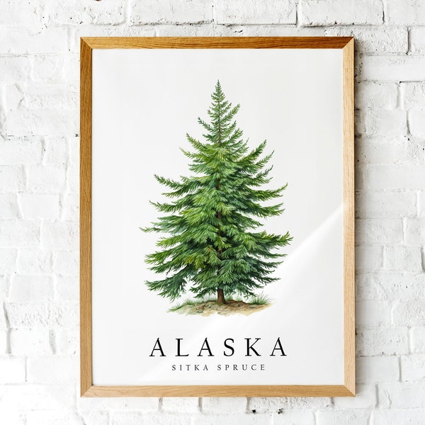 Sitka Spruce, The State Tree of Alaska, Poster Print, Wall Décor