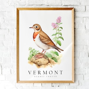 Hermit Thrush, The State Bird of Vermont, Poster Print, Wall Décor