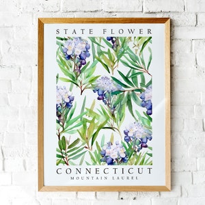 Mountain Laurel, Connecticut State Flower, Poster Print, Wall Décor