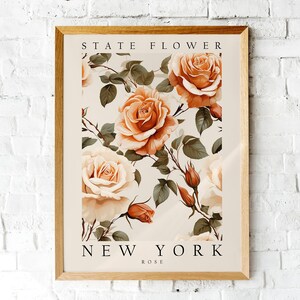 Rose Symbolism, The State Flower of New York, Poster Print, Wall Décor