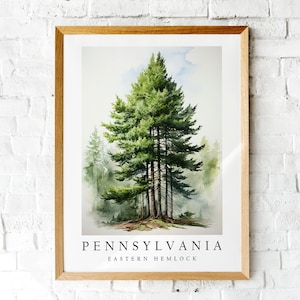 Eastern Hemlock, The State Tree of Pennsylvania, Poster Print, Wall Décor bild 1