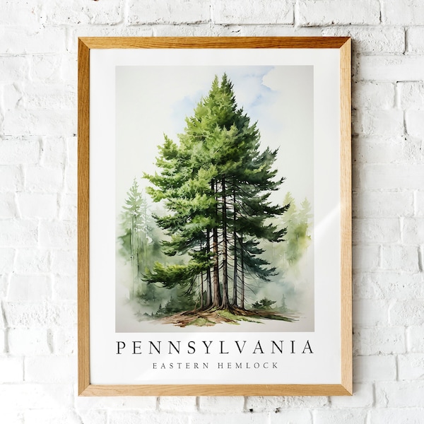 Eastern Hemlock - Etsy