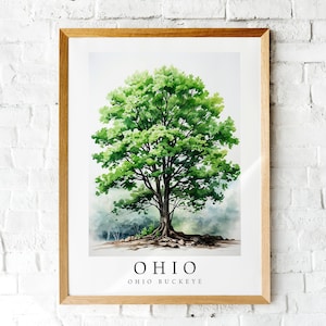 Ohio Buckeye, The State Tree of Ohio, Poster Print, Wall Décor