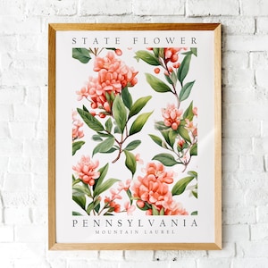 Mountain Laurel, Pennsylvania State Flower, Poster Print, Wall Décor