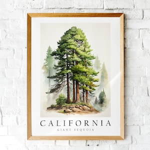 Giant Sequoia, The State Tree of California, Poster Print, Wall Décor