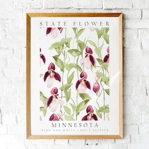 Pink & White Lady Slipper, Minnesota State Flower, Poster Print, Wall Décor