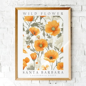 California Poppy, The Wild Flower of Santa Barbara, Poster Print, Wall Décor