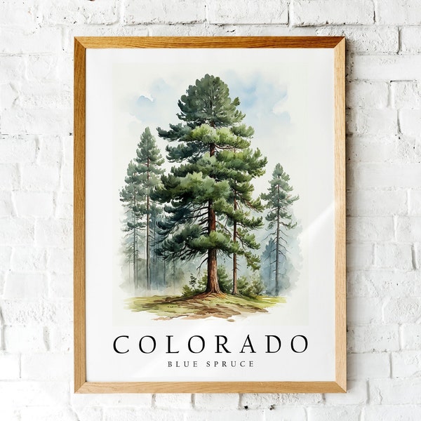 Blue Spruce, The State Tree of Colorado, Poster Print, Wall Décor