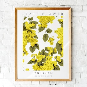 Oregon Grape, Oregon State Flower, Poster Print, Wall Décor