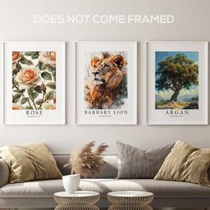 Morocco National Symbols Poster Prints, Barbary Lion, Rose, Argan Tree Set of 3