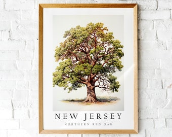 Northern Red Oak, The State Tree of New Jersey, Poster Print, Wall Décor