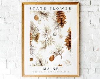 White Pine Cone and Tassel, Maine State Flower, Poster Print, Wall Décor