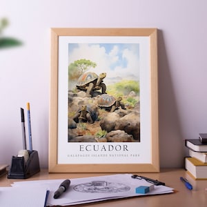 Galápagos Islands in Ecuador, Hawaii, Poster Print, Wall Art, Home Décor