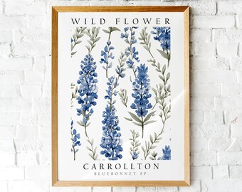 Bluebonnet, The Wild Flower of Carrollton, Poster Print, Wall Décor
