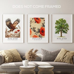 May include: Three framed prints with illustrations of Polish wildlife and flora. The prints feature a white-tailed eagle, red poppies, and an oak tree. Each print has the word "Poland" and the name of the depicted species.