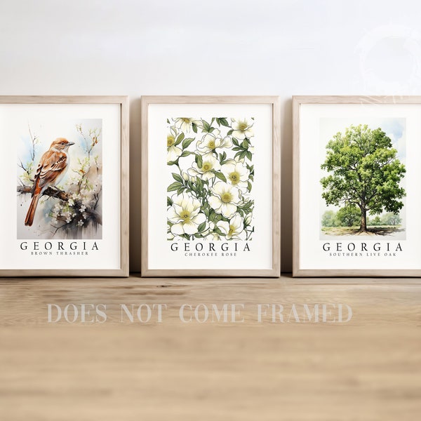 Georgia State Bird Brown Thrasher, State Tree Southern Live Oak, State Flower Cherokee Rose, Set of 3 Poster Prints, Wall Art home Décor