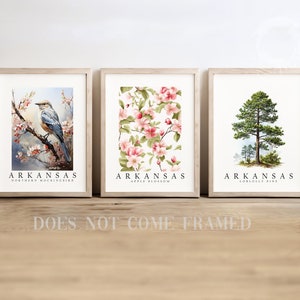 Arkansas State Bird Northern Mockingbird, State Tree Loblolly Pine, State Flower Apple Blossom, Set of 3 Poster Prints, Wall Art Home Décor image 1