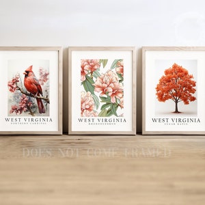 May include: Three framed prints featuring West Virginia state symbols. The first print shows a Northern Cardinal, the second shows a Rhododendron flower, and the third shows a Sugar Maple tree.
