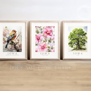 Iowa State Symbols Poster Prints: Goldfinch, Oak, Wild Rose - Set of 3