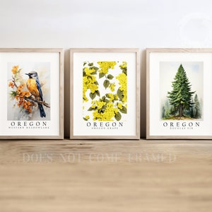 May include: Set of three prints featuring illustrations of Oregon state symbols. The first print shows a Western Meadowlark bird perched on a branch with yellow flowers. The second print shows a cluster of Oregon Grape flowers. The third print shows a Douglas Fir tree in a forest setting. Each print has the word "Oregon" and the name of the symbol below the illustration.