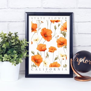 Poppy, California State Flower, Poster Print, Wall Décor