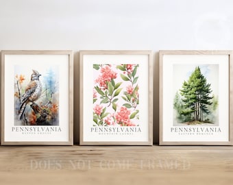 Pennsylvania State Bird Ruffed Grouse, State Tree Eastern Hemlock, State Flower Mountain-Laurel, Set of 3 Poster Prints, Wall Art Home Décor